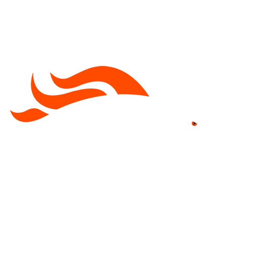 Denver Broncos